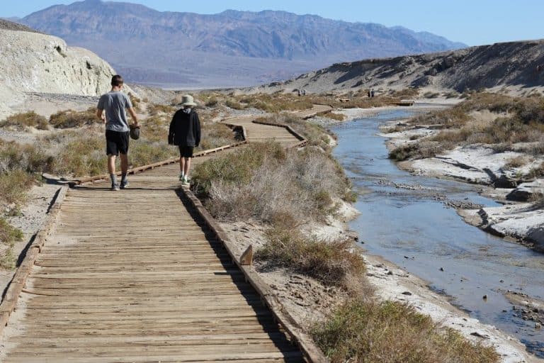 Salt Creek in Death Valley