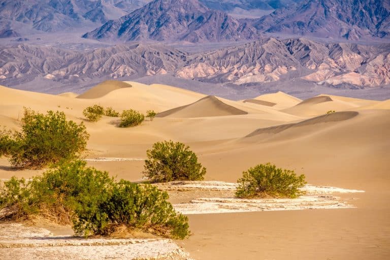 Death Valley is a desert national park in California