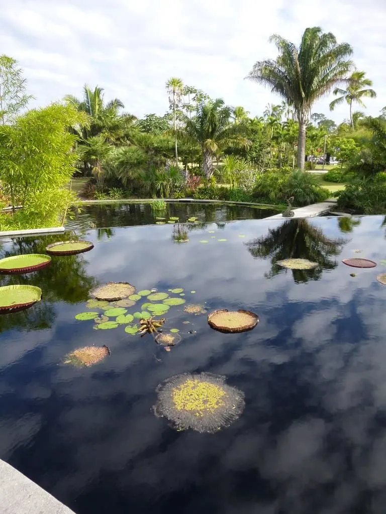 Things to do in Naples Florida with kids include visiting Naples botanical gardens