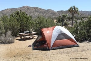 Best Campgrounds for Kids
