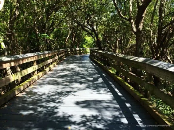 Clam Pass Beach Park Naples, FL