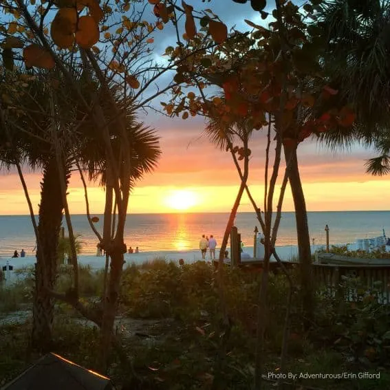 Gumbo Limbo Sunset Naples, FL