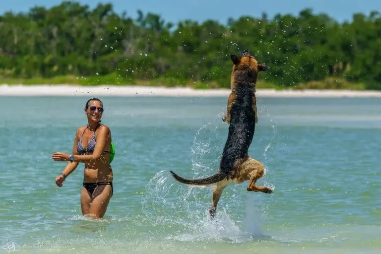 Bonita Beach Dog park 