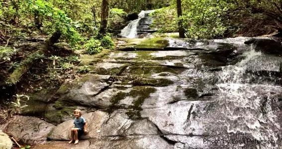 Fall Branch Falls