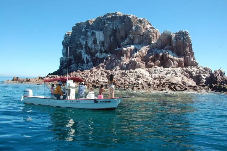 Los Islotes Sea Lions La Paz Mexico