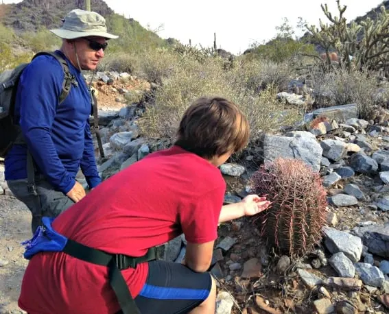 Phoenix Desert Hike