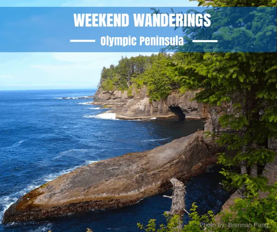 Weekend Wanderings to the Olympic Peninsula