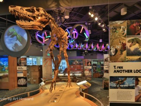 Fantastic Kid-Friendly Science Museums Around the United States