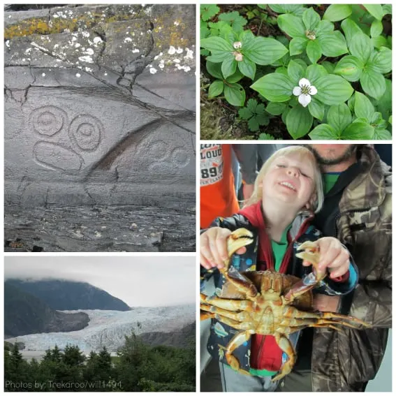 Mendenhall Glacier dungeness crab