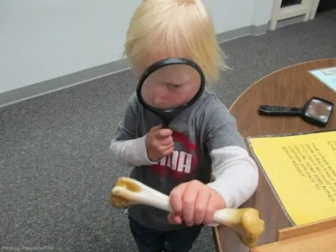 Road School: Crafting an Engaging Educational Trip for Kids