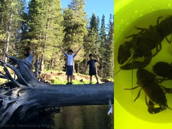 Educational Travel - Crawdad Fishing