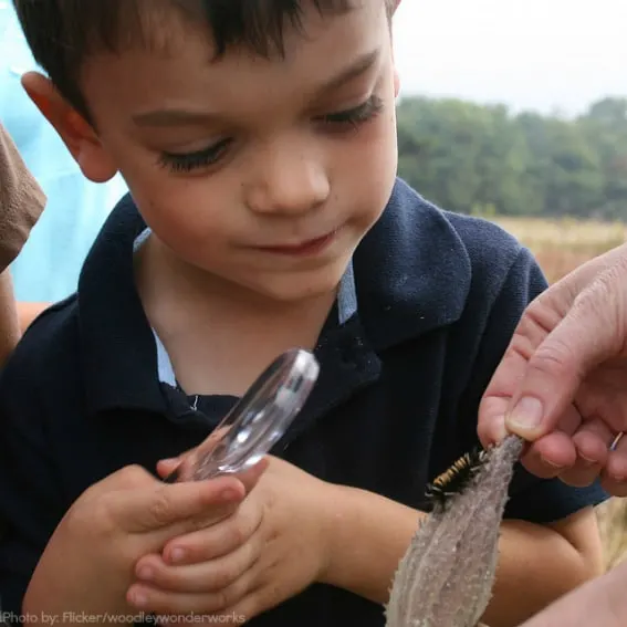 Junior Ranger Programs