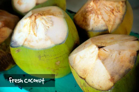 Punta-Cana-fresh-coconut