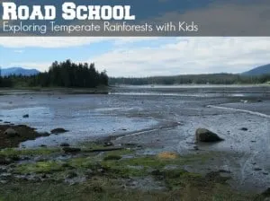 Road School Exploring Temperate Rainforests with kids