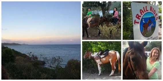 USVI Carolina Corral Collage