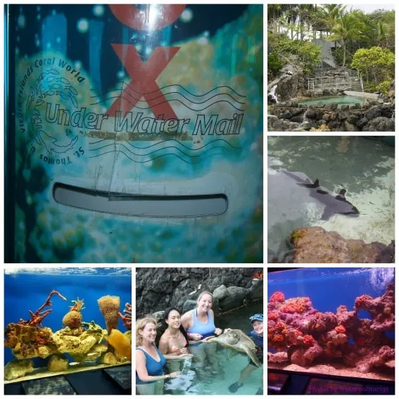 USVI CoralWorld Collage