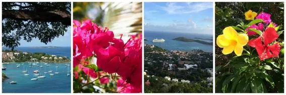 USVI Views and Flora Collage