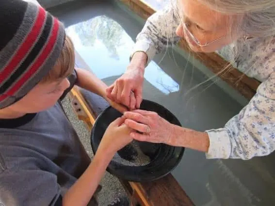 gold panning