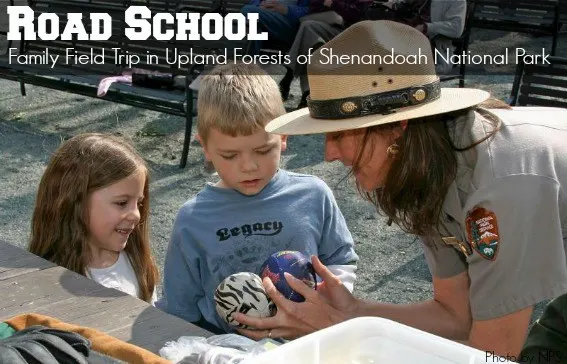 shenandoah national park road school