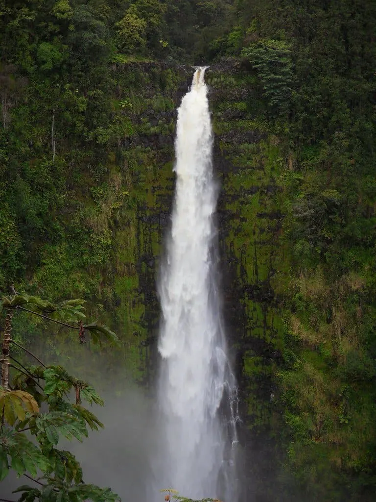 akaka falls photo