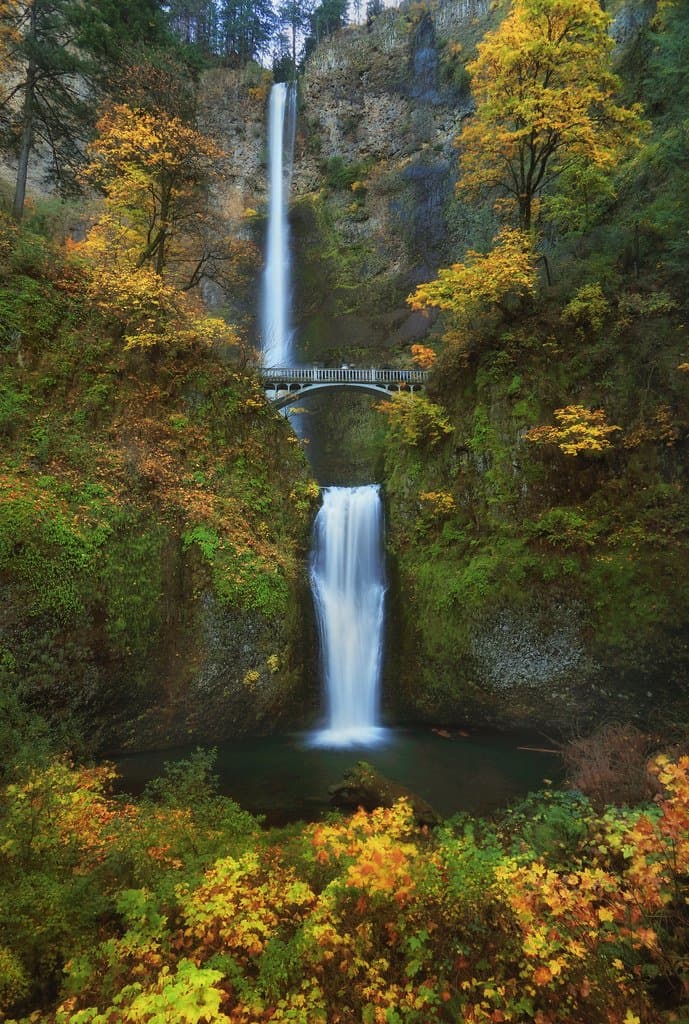 Multnomah falls is one of the best waterfalls in the US