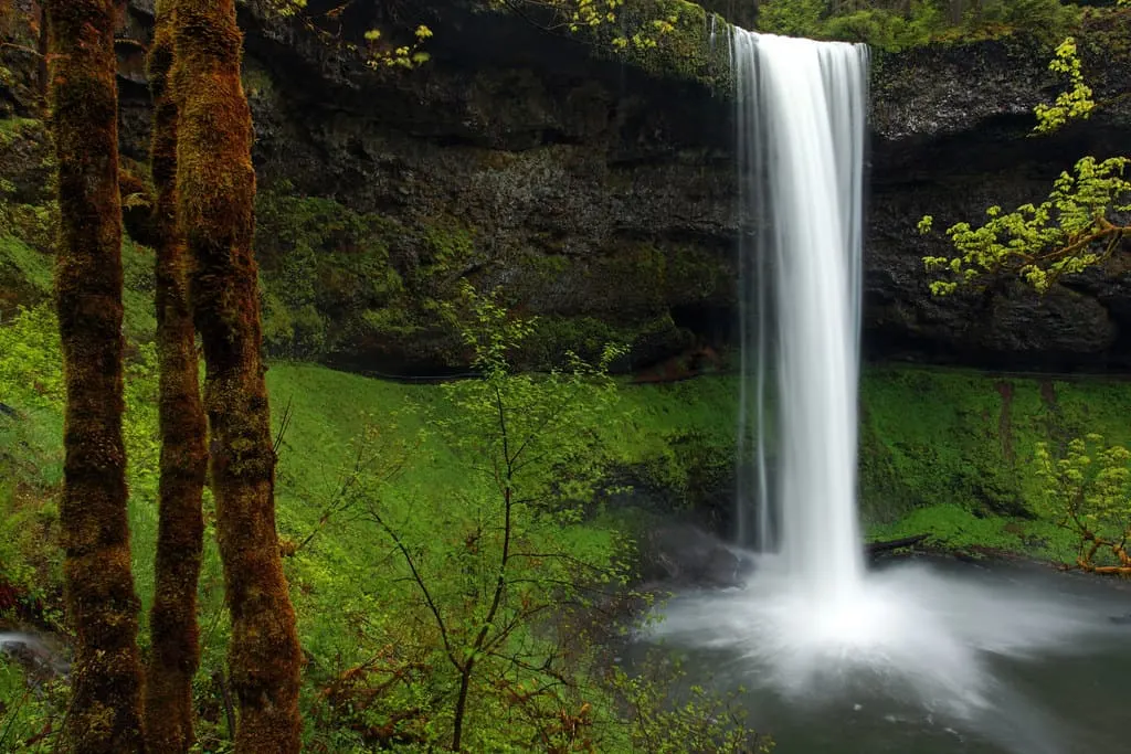 Silver Falls state park is home to some of the best waterfalls in the US