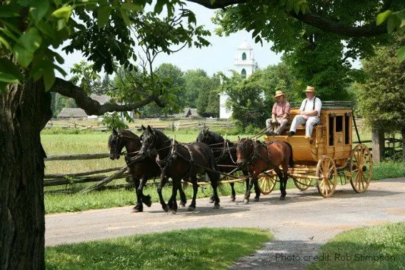 upper canada village-horse and buggy