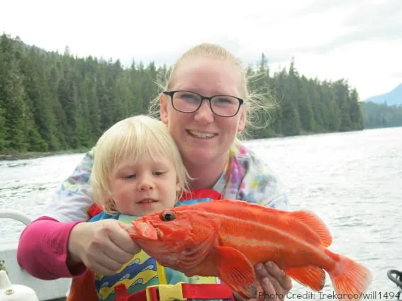 Yelloweye Rockfish