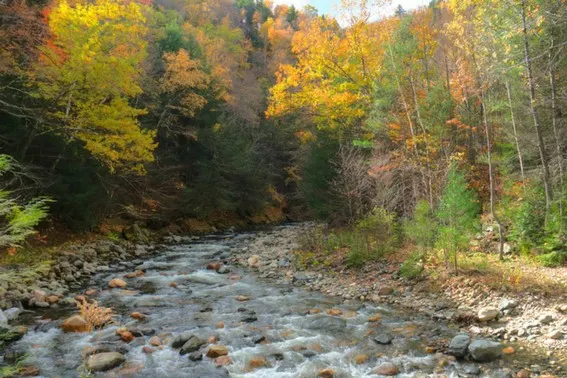 Mohawk trail Massachusetts in Fall Photo by flickr/kim_carpenter_nj