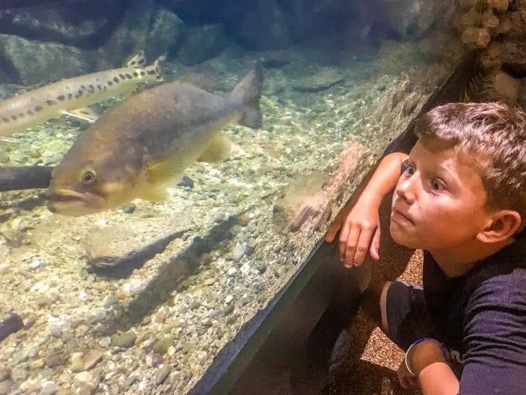Fun things to do in Cleveland with kids Greater Cleveland Aquarium