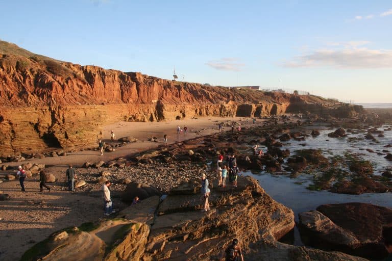 best California tide pools include Cabrillio National Monument