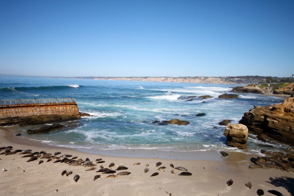 The 8 Best California Tide Pools For Families To Explore   Best Tide Pools In California By Flickr Roozbehrokni 1024x682 