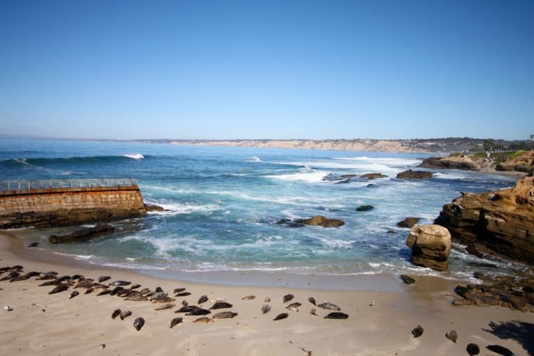 tidal pools la jolla san diego