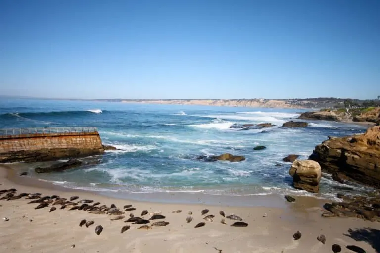 southern california tide pools la jolla