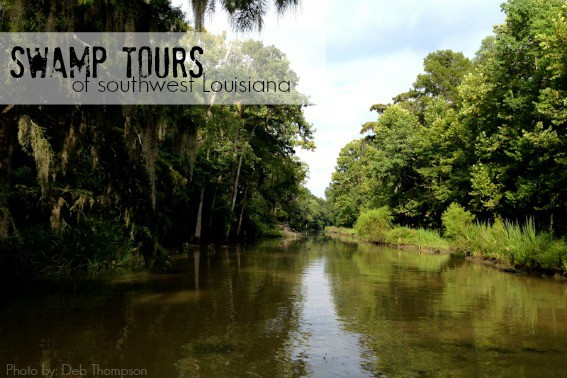 swamp tours hammond louisiana