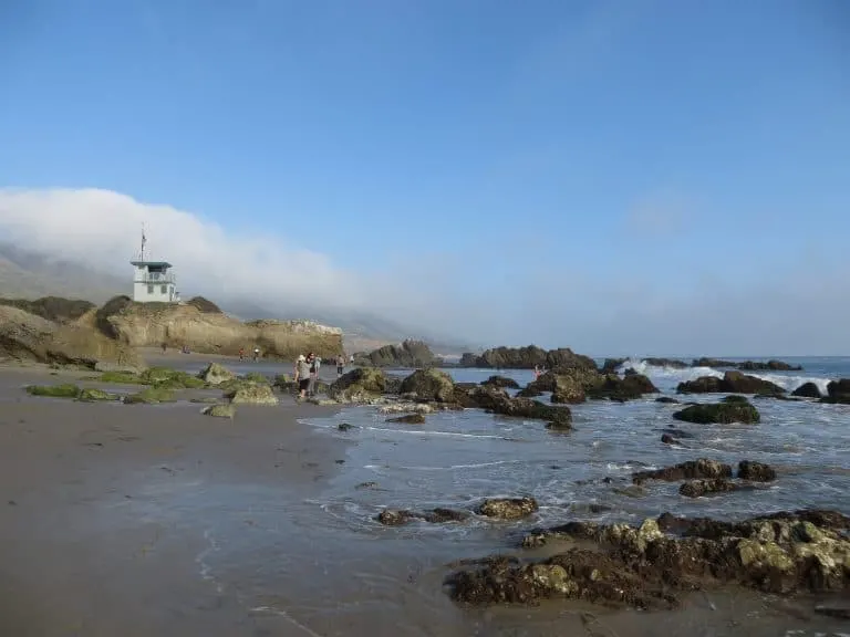 Best tide Pools in California include Leo Carillo