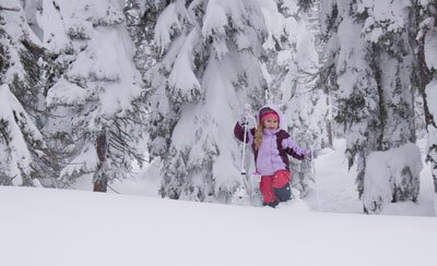 fun things to do in the snow: other great activities