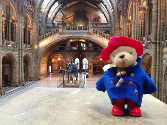 Paddington Natural History Museum