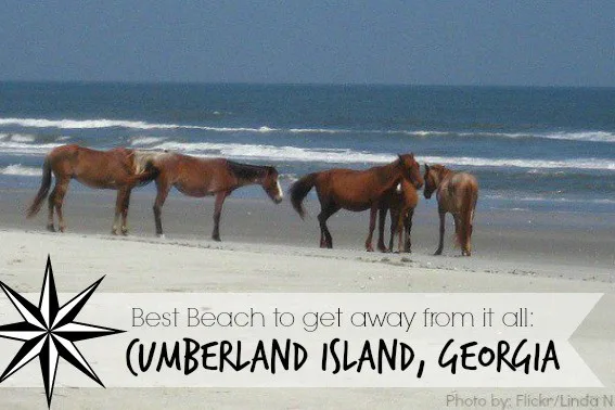 cumberland-island-georgia