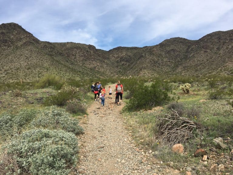 things-to-do-in-phoenix az-with-kids including hiking at South Mountain Park