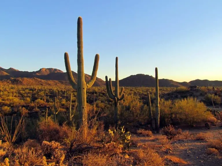 day trip tucson