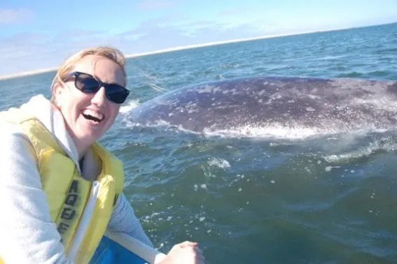 Whale watching Baja