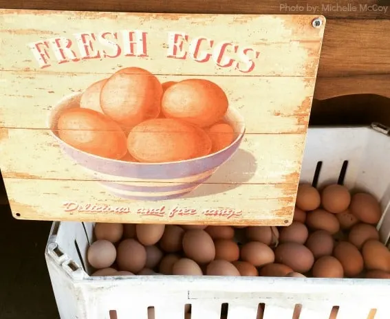 Fresh-farm-organic-free-range-eggs-Jackson-Family-Farm-Trekaroo