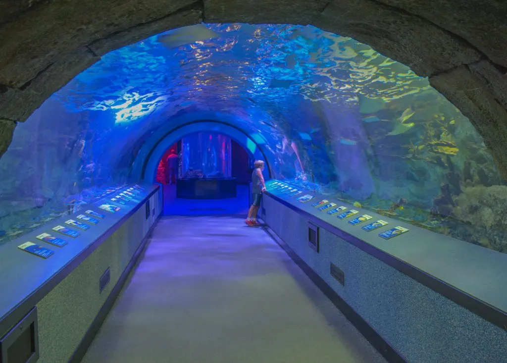 Newport Aquarium in Cincinnati