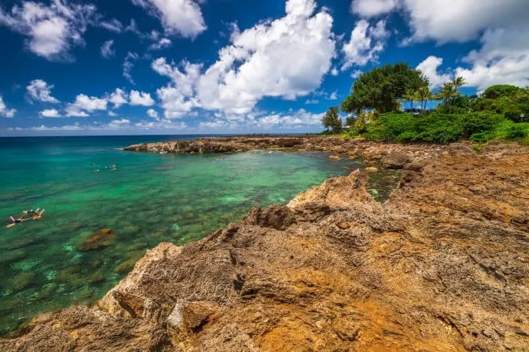 Sharks Cove snorkeling on Oahu