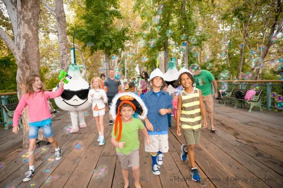 Best Amusement Park Young Kids Gilroy Gardens