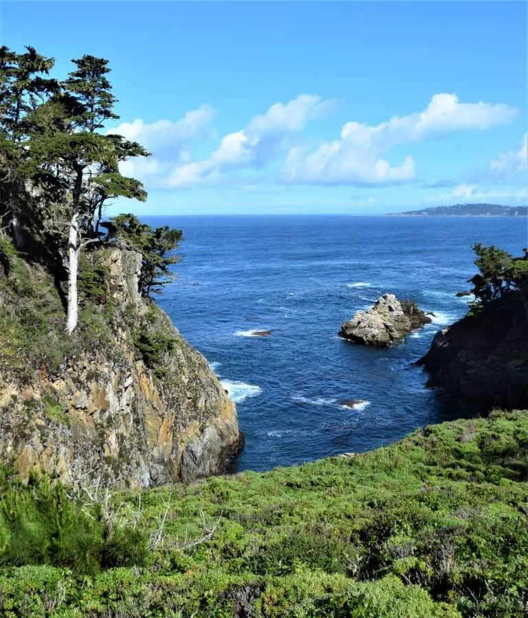 Point Lobos is a great place to stop on a California Road Trip