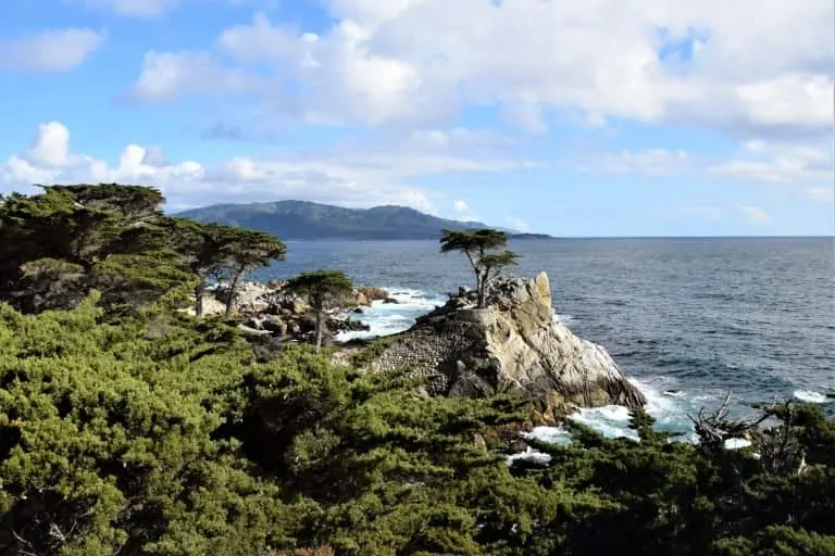 Scenic Viewpoint on the 17-Mile Drive 