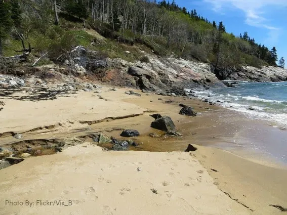 Beach at Acadia