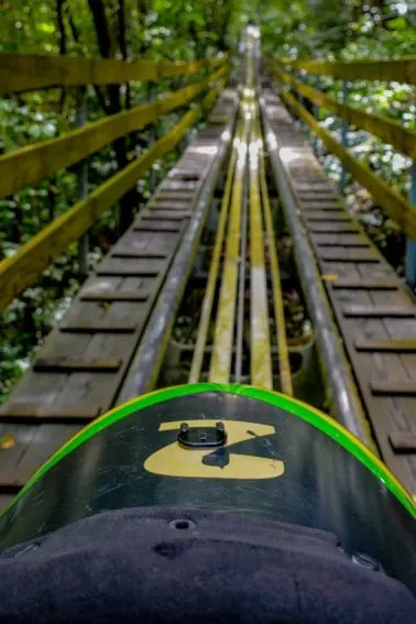 Don't miss the Jamaican bobsled adventure at Mystic Mountain